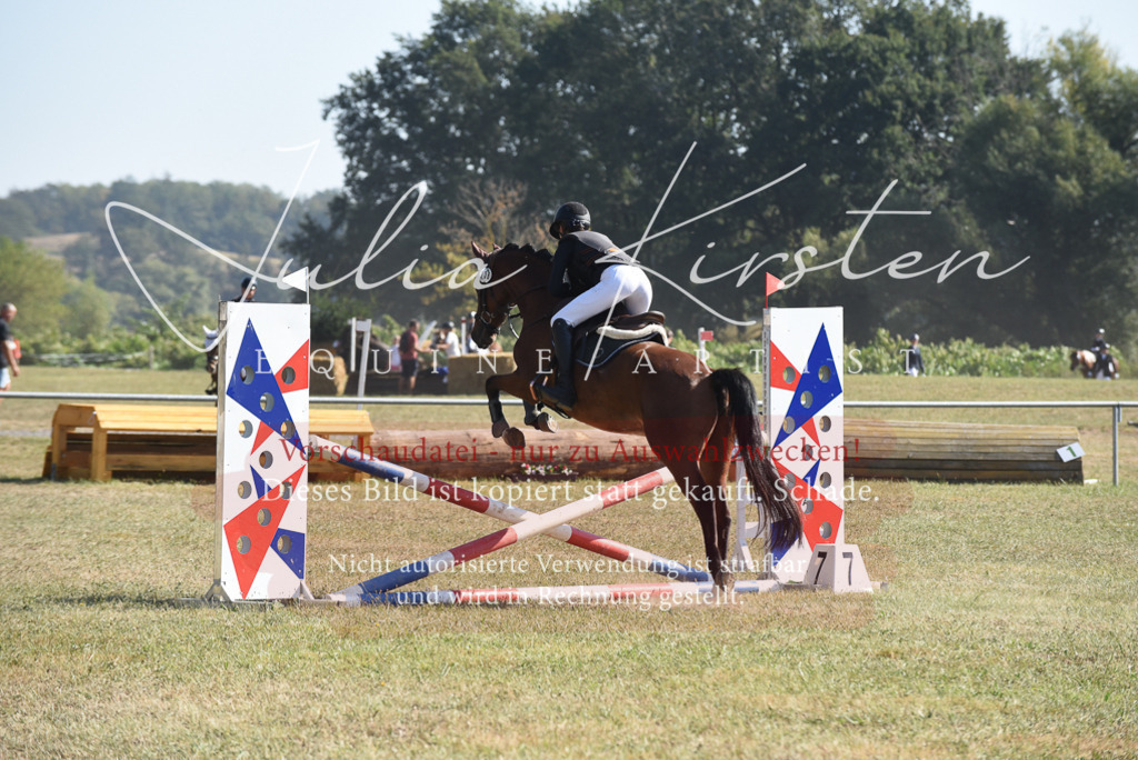 DSC_6129 | Pferde- und Turnierfotografie in Westsachsen. Pferdeportraits, Auftragszeichnungen und intuitive Kunst.