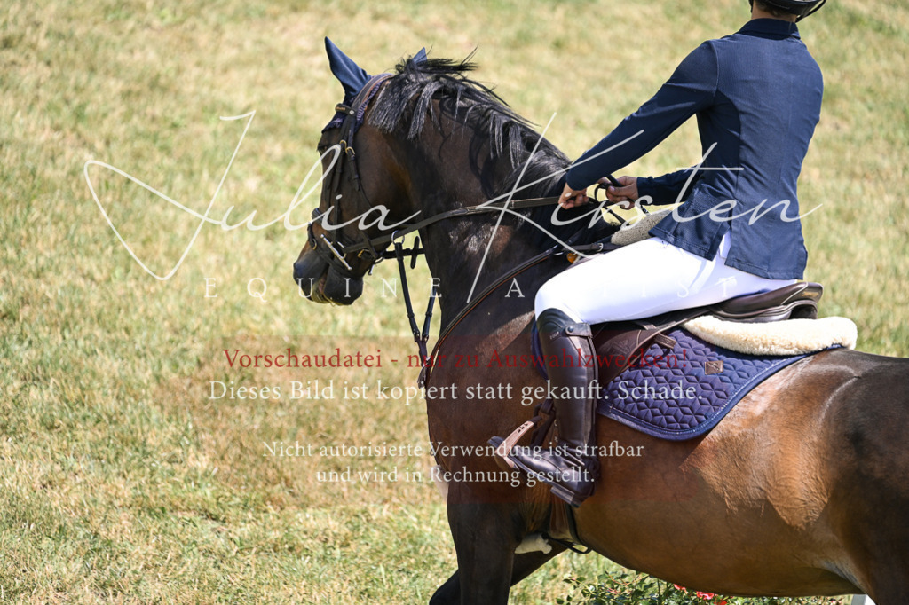 DSC_9645 | Pferde- und Turnierfotografie in Westsachsen. Pferdeportraits, Auftragszeichnungen und intuitive Kunst.