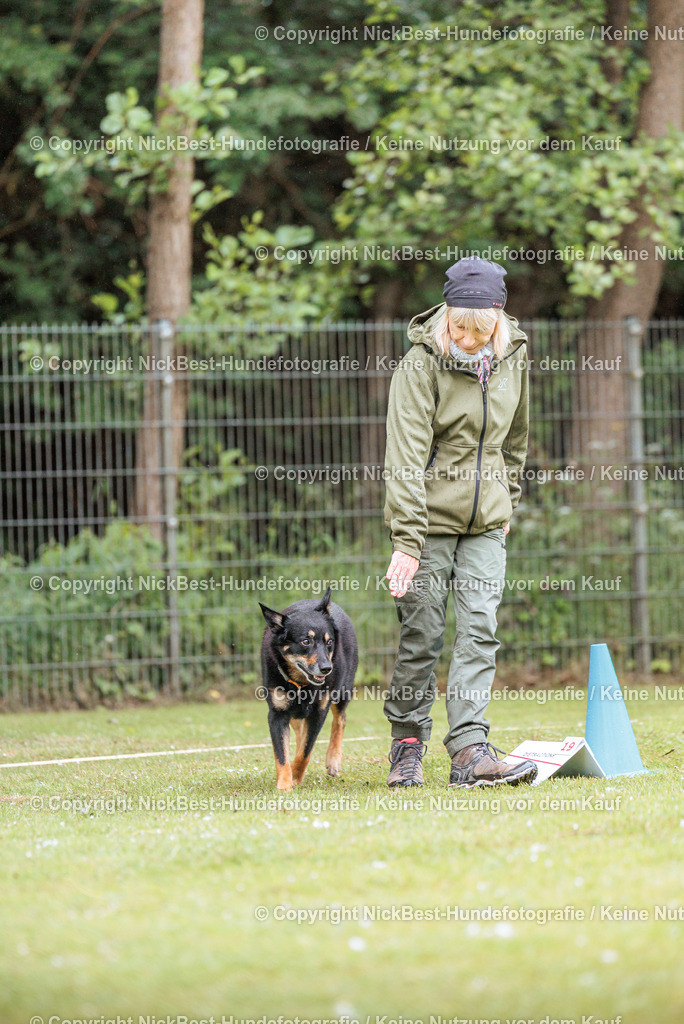 RO-Blumenthal-2026-Nickbest-Hundefotografie-0124 | Dein Hund! Dein Moment! Deine Erinnerungen! Hundefotografie in Bremen Blumenthal. Ich fange die besonderen Momente deines Vierbeiners ein – ob Indoor mit Blitzanlage oder in der freien Natur. Sicher dir dein Moment und dein Termin für eure Erinnerungen.