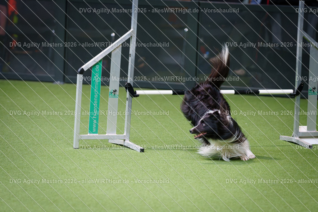 allesWIRTHgut_Tierfotografie-DVG_Agility_Masters_2026-11_40-7R506734 | Professionelle Tierfotografie in Mönchengladbach von Daniel Wirth (allesWIRTHgut). Liebevolle & natürliche Bilder von Hunden & Katzen für unvergessliche Erinnerungen.