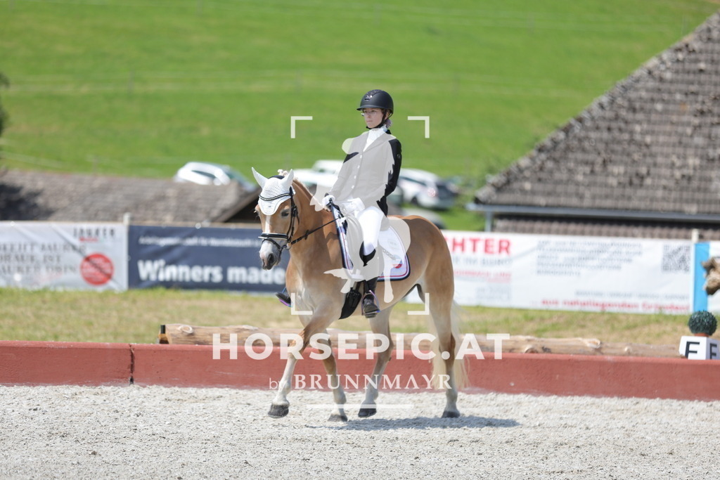 0P6A1259 | Willkommen bei Brunnmayr - Design & Fotografie – Ihrem Spezialisten für Reitturniere und Pferdeveranstaltungen in Oberösterreich, Salzburg und Bayern! Seit über 17 Jahren sind wir leidenschaftlich dabei.