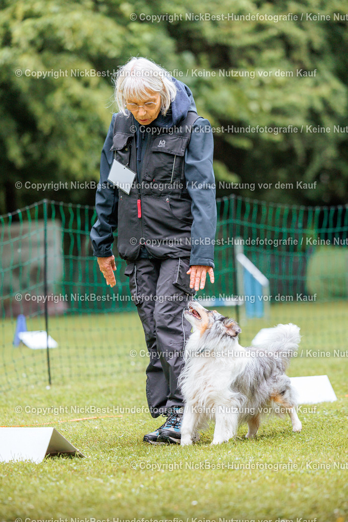RO-Blumenthal-2026-Nickbest-Hundefotografie-4299 | Dein Hund! Dein Moment! Deine Erinnerungen! Hundefotografie in Bremen Blumenthal. Ich fange die besonderen Momente deines Vierbeiners ein – ob Indoor mit Blitzanlage oder in der freien Natur. Sicher dir dein Moment und dein Termin für eure Erinnerungen.