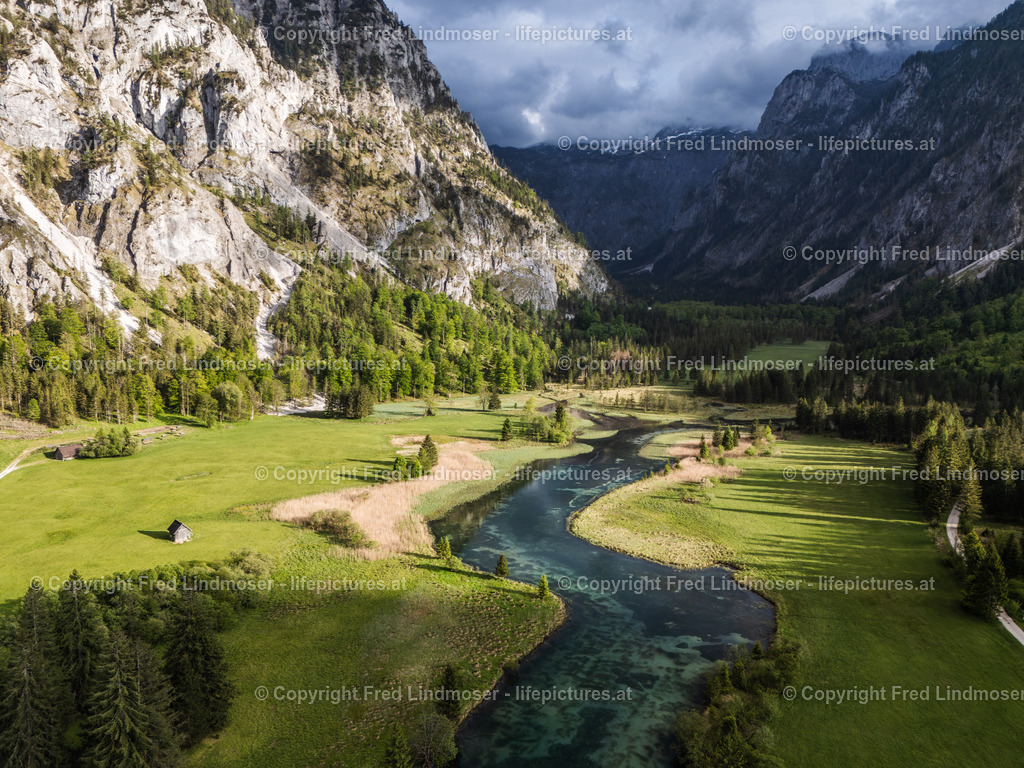 Brunnsee 15052025 _ Fred Lindmoser--6 | default - Realisiert mit Pictrs.com