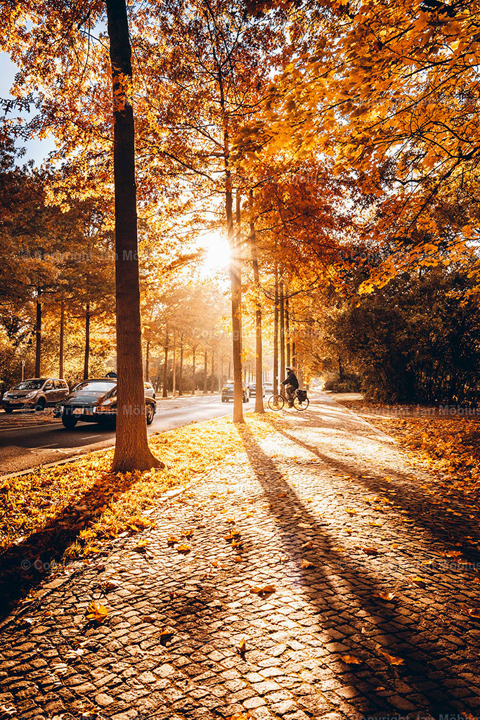 Clara Park | Der Clara-Zetkin-Park in Leipzig ist ein beliebter Ort für Natur, Sport und Erholung – perfekt für Spaziergänge, Jogging und entspannte Stunden im Grünen. - Realisiert mit Pictrs.com