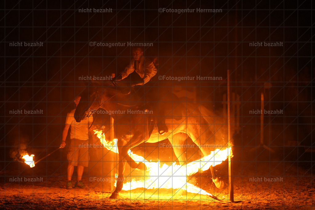 20240824-FAH08906 | Professionelle Turnier- und Reitsportfotografie - mit dem Finger am Auslöser. Pferdebilder aus dem Reitsport von den Turnierfotografen  Bayern , Pferdefotograf Bayern, Pferdeshooting Turnierbilder, Hochzeitsfotograf, Eventfotograf, Hochzeitsbilder