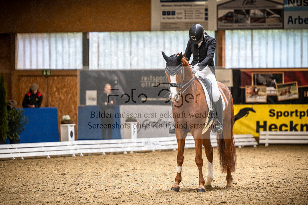 DOS_1708 | Entdecke hochwertige Reitturnierfotos von Foto Oger. Professionell, emotional und authentisch – jetzt Lieblingsmomente im Shop bestellen.Deutschlandweite Turnierfotografie. - Realisiert mit Pictrs.com
