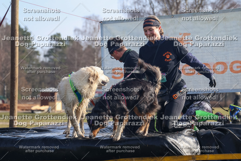 Dog Paparazzi - Strongdog North Mrz26-738 | Dog Paparazzi Jeanette Grottendiek Fotografie & Videografie - Realisiert mit Pictrs.com