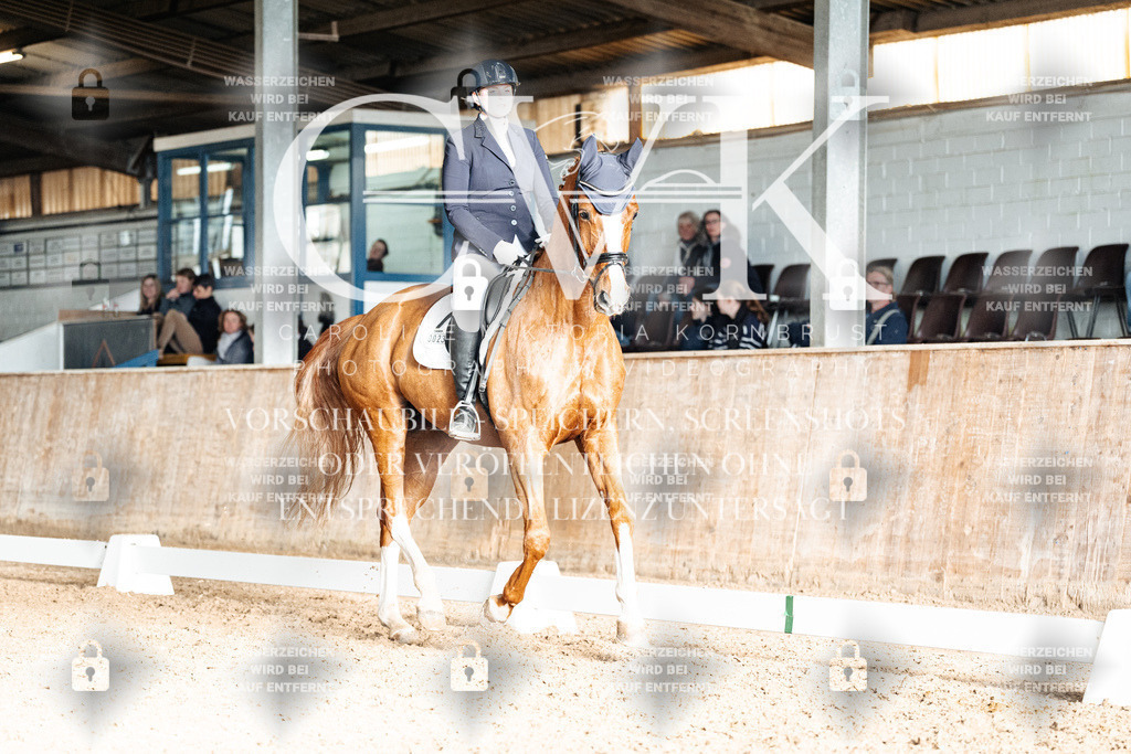 CK902813 | Turnierfotografie Pferdefotografie Trier Rheinland-Pfalz Pferdesport Reitsport Tierfotografie Sportfotografie Pferdevideo Pferdevideografie Equestrianvideography equestrianphotography  - Realisiert mit Pictrs.com