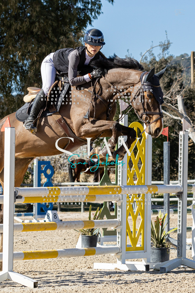 IMG_0698 | s-jay-photography - Realisiert mit Pictrs.com