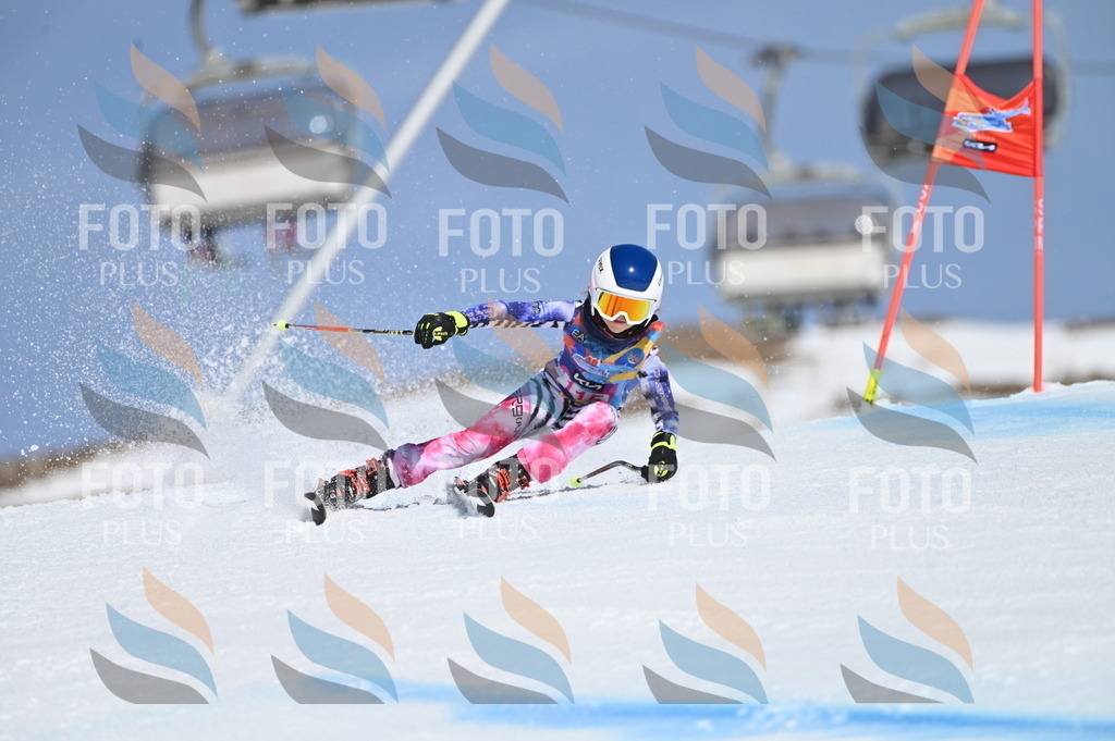 BGV_9712 | holidayphoto