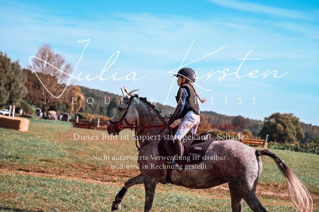 DSC_1151 | Pferde- und Turnierfotografie in Westsachsen. Pferdeportraits, Auftragszeichnungen und intuitive Kunst.
