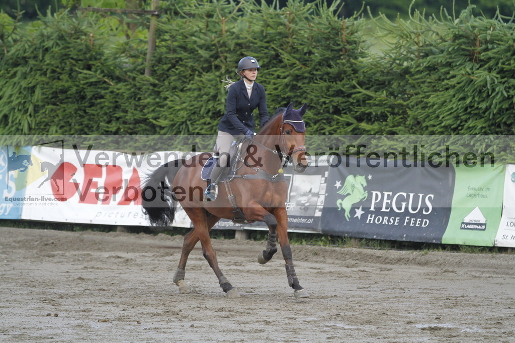 _MG_7543 | equestrian-live-com