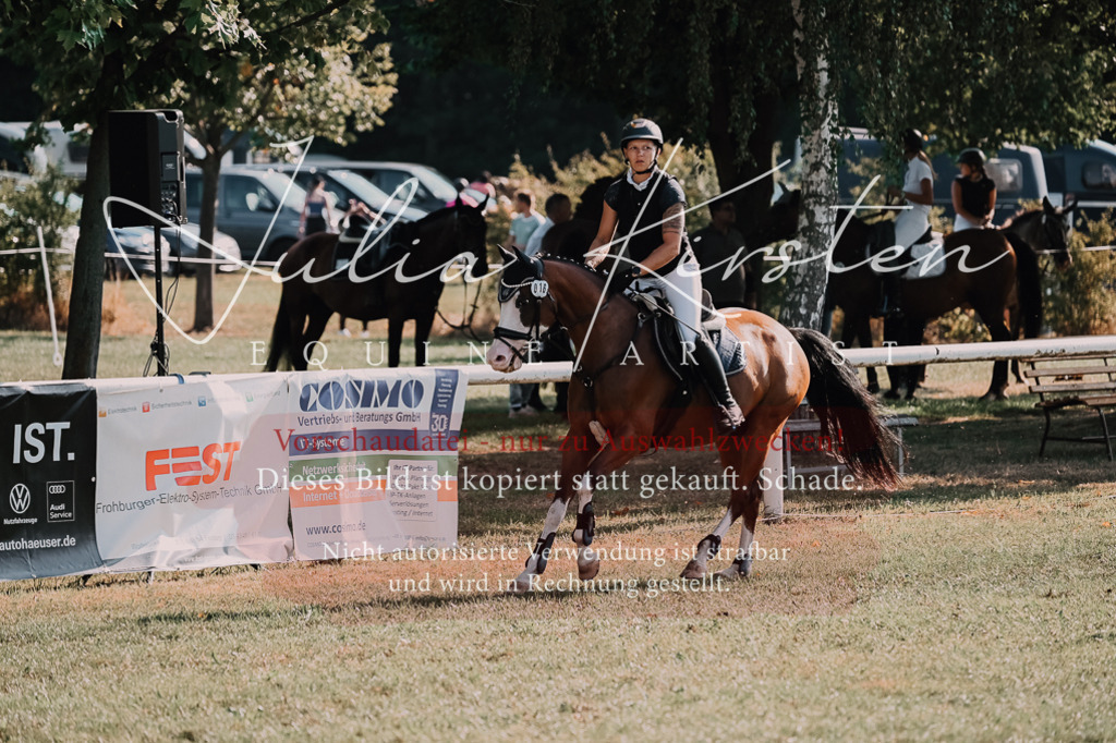 DSC_4735 | Pferde- und Turnierfotografie in Westsachsen. Pferdeportraits, Auftragszeichnungen und intuitive Kunst.