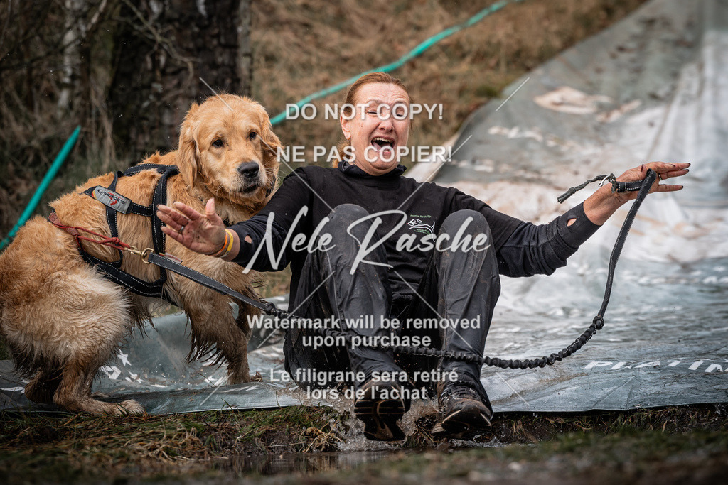 nelerasche_1330-1400_137 | nelerasche