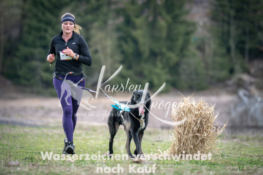 1816_ZZ95128 | kk-dogfotos