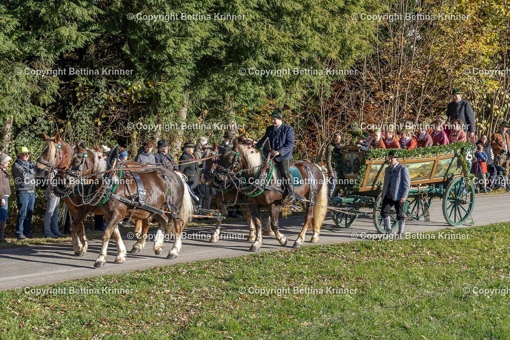 LBT25-196 | foto-bettina-krinner - Realisiert mit Pictrs.com