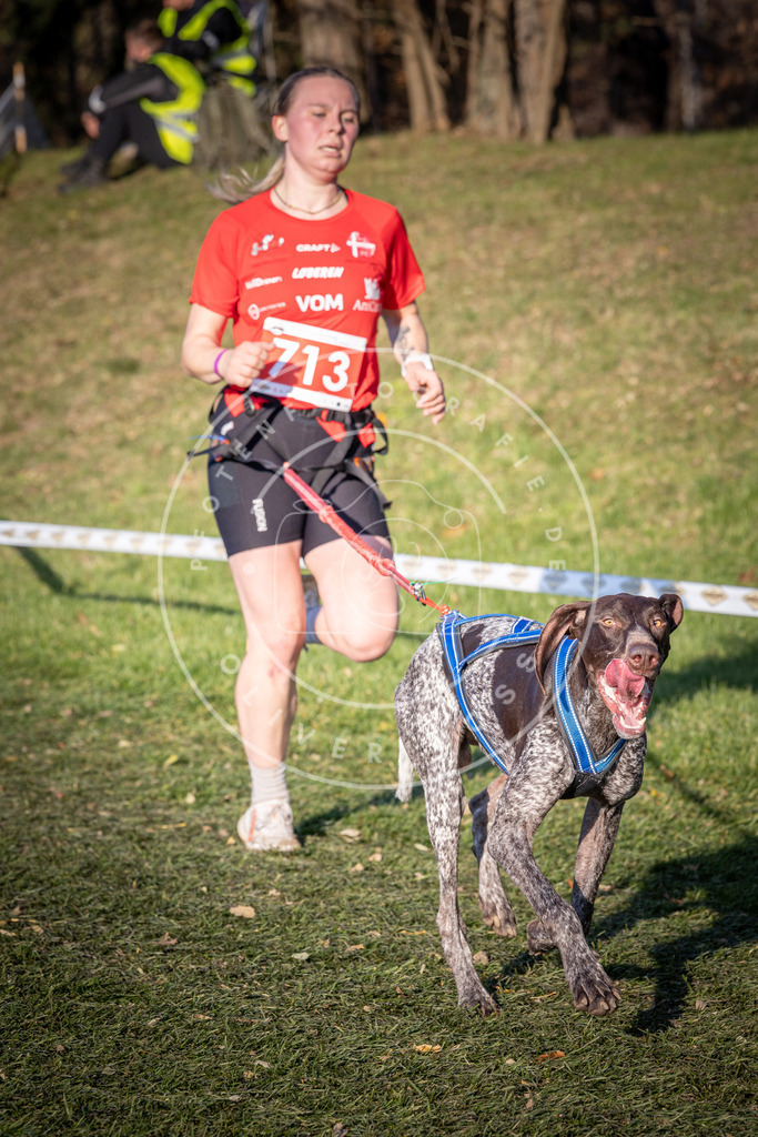 CaniXpix_0L8A9644 | Hundefotografie, Tierfotograf, Pfotenfotografie, Fotoshooting Hund, Hunde Portrait, Hundesport, Hundeportraits, Heideshooting, Hunde, Sportfotograf, Hundefotograf, Turnierhundsport, THS,  - Realisiert mit Pictrs.com