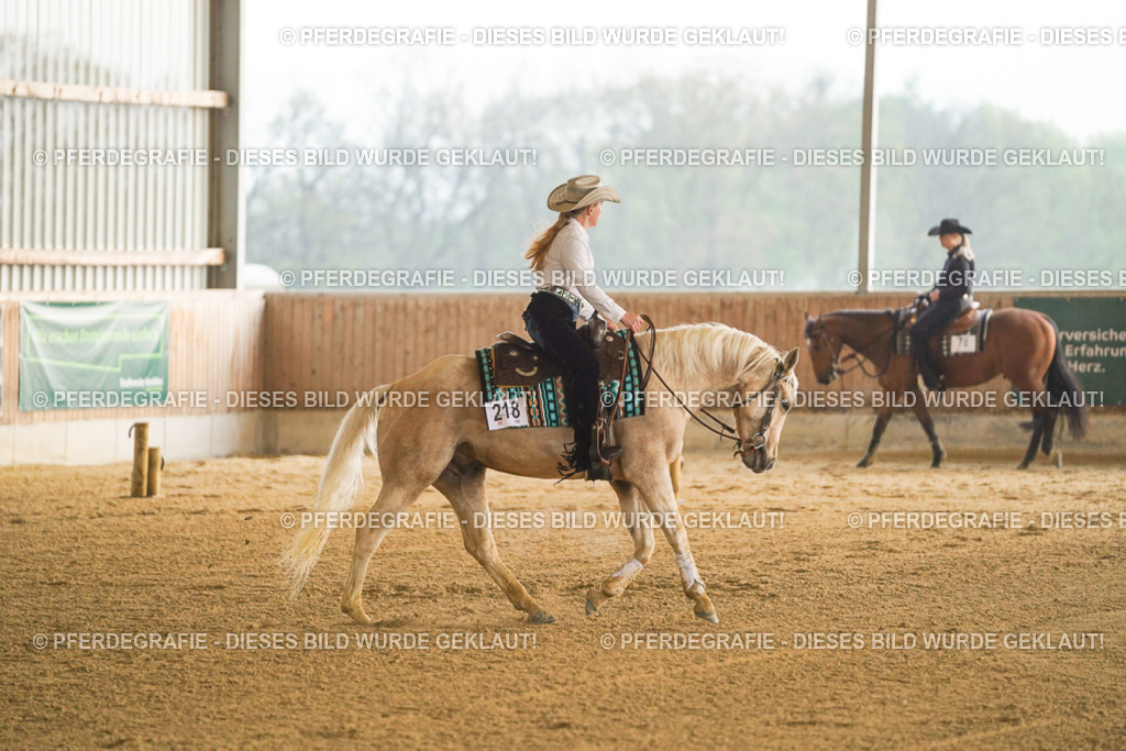 DSC09374 | Pferdegrafie