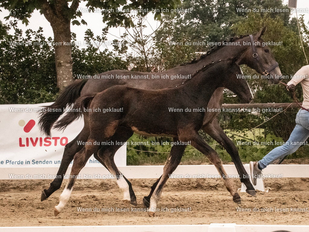 A10I1704 | photographylinaismer - Realisiert mit Pictrs.com