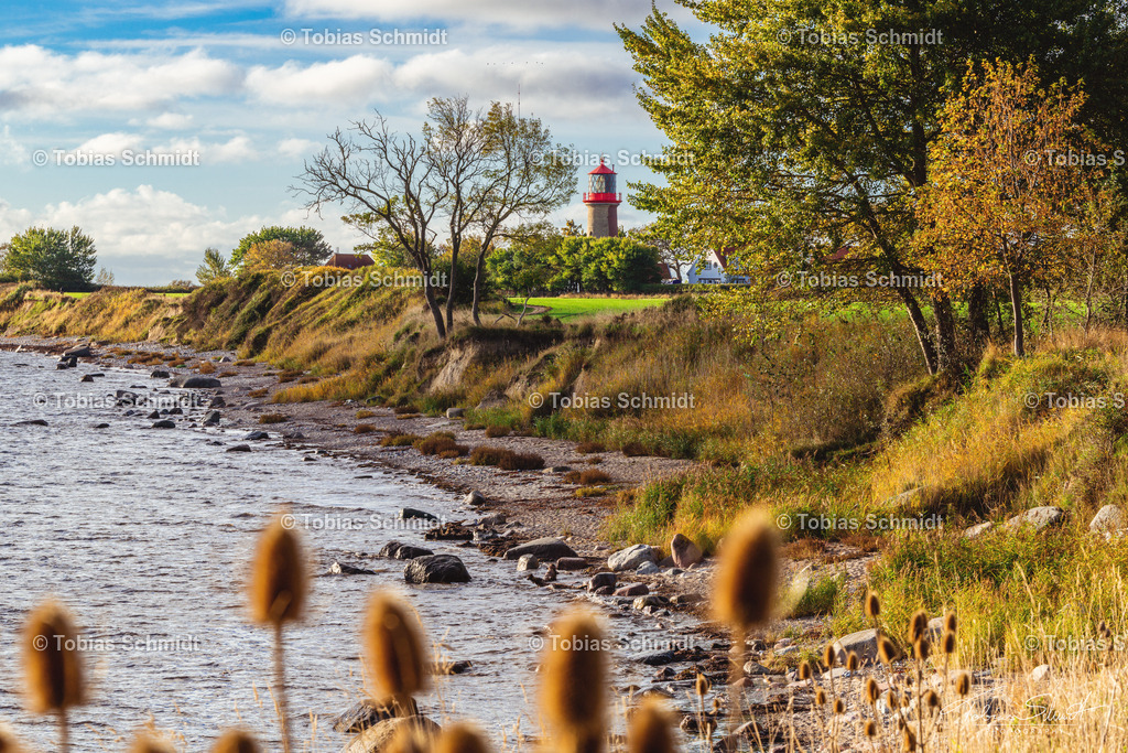 Fehmarn__DSC7748 | Fotoprodukte, Kalender und Wanddeko direkt vom Fotografen auf Fehmarn. Ob Wandbild auf Alu-Dibond, hinter Acrylglas oder auf Leinwand – hier können Sie Ihr Lieblingsbild kaufen. - Realisiert mit Pictrs.com