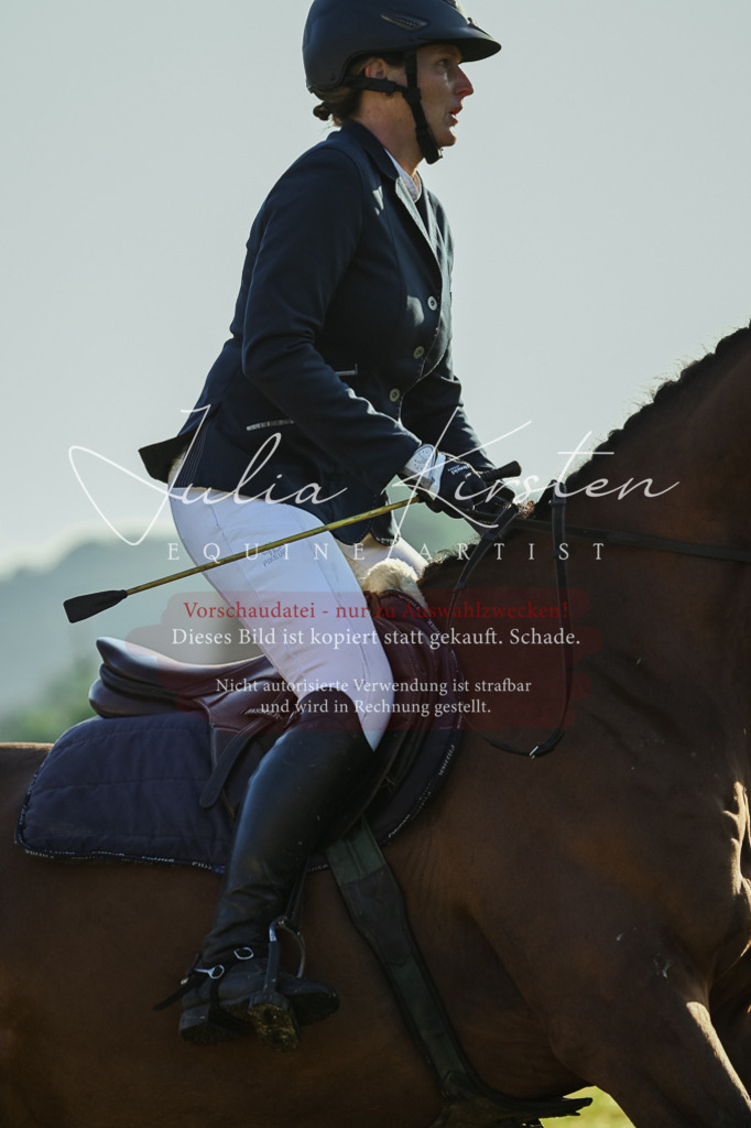 DSC_3833 | Pferde- und Turnierfotografie in Westsachsen. Pferdeportraits, Auftragszeichnungen und intuitive Kunst.