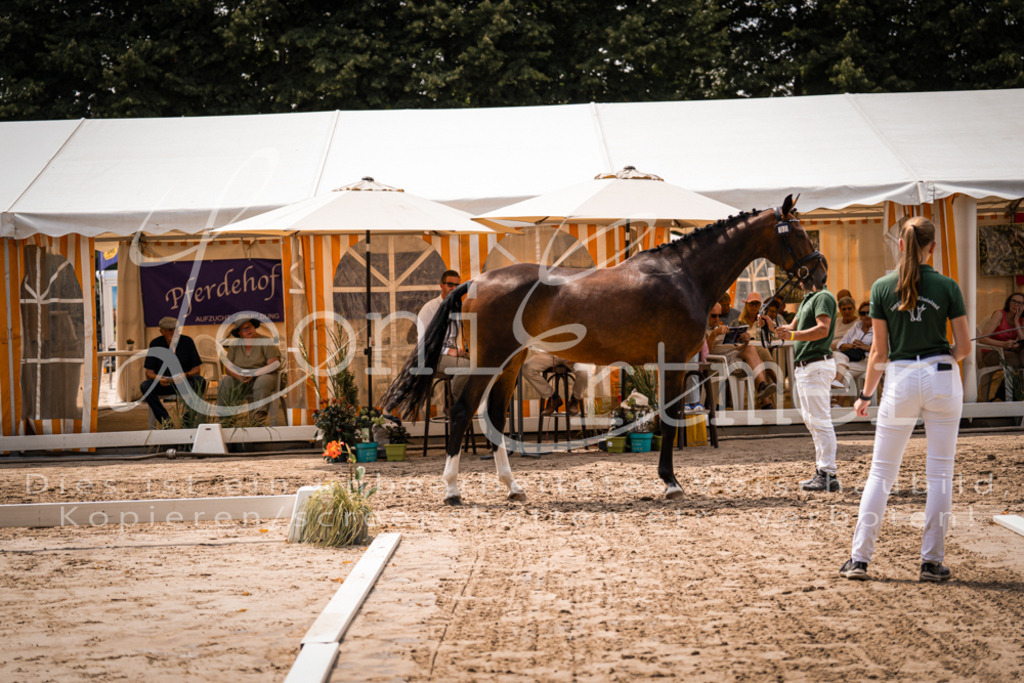 2. Fr00125 | Leoni Ertmer Photography - Realisiert mit Pictrs.com