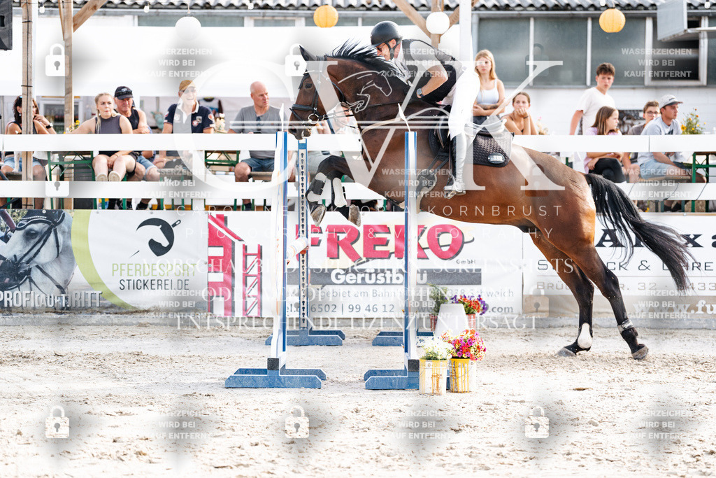 CK906533 | Turnierfotografie Pferdefotografie Trier Rheinland-Pfalz Pferdesport Reitsport Tierfotografie Sportfotografie Pferdevideo Pferdevideografie Equestrianvideography equestrianphotography  - Realisiert mit Pictrs.com