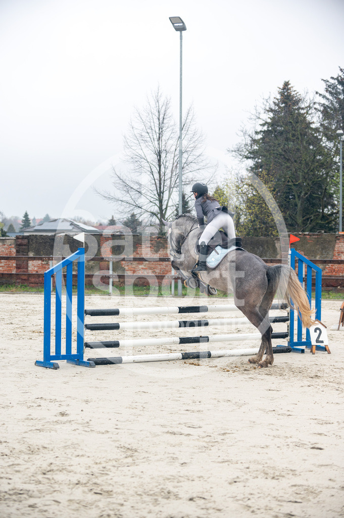 DSC_8581 | sattelsport - Realisiert mit Pictrs.com