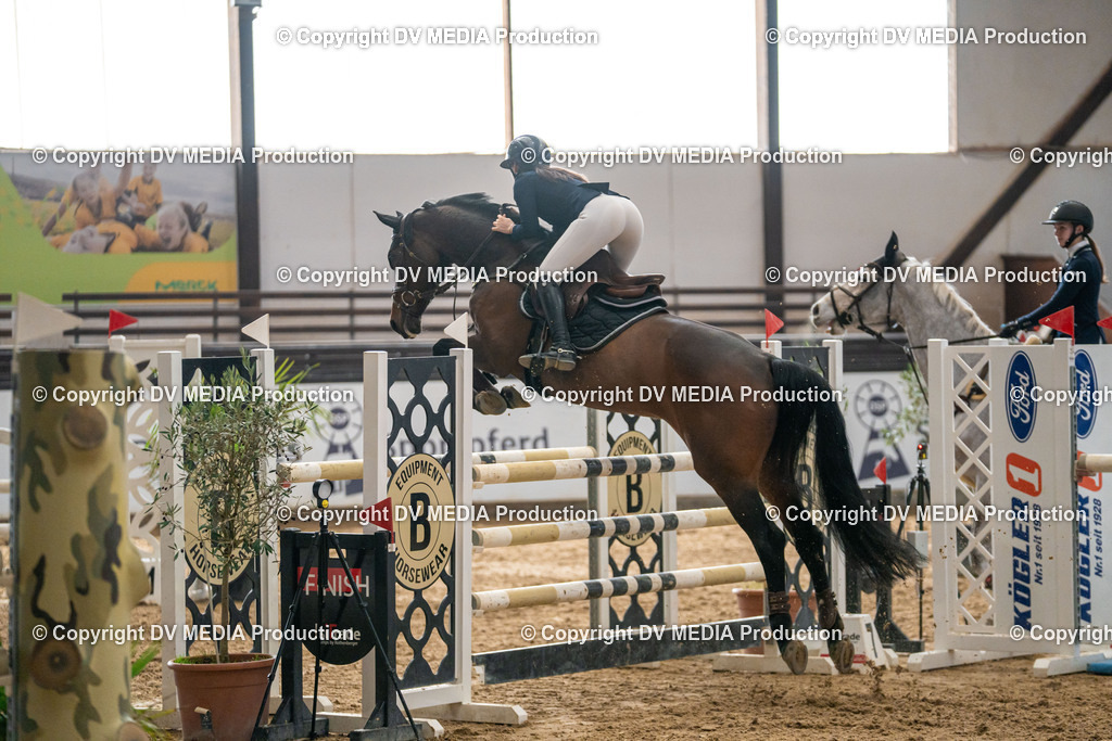 Kranichstein Tag 2-513 | dv-media-shop - Realisiert mit Pictrs.com