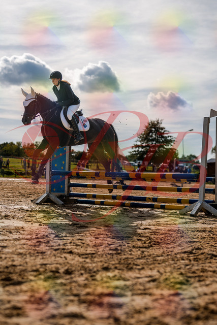 2026_10_03_Siefer-Hof_153537_Z63_07972163 | Professionelle Reitsport-, Turnier- und Eventfotografie von Robert Broda. Galerien mit ausgewählten und bearbeiteten Bildern direkt online ansehen und bestellen.