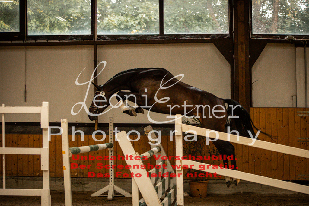 1FS_L00020 | Leoni Ertmer Photography - Realisiert mit Pictrs.com