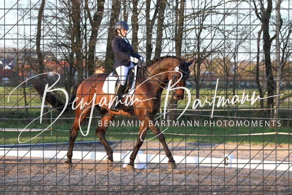 AZ2A5972 | Benjamin Bartmann Photomoments