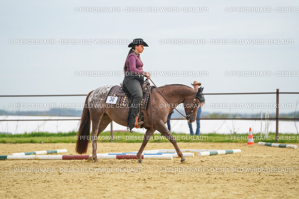 DSC03510 | Pferdegrafie