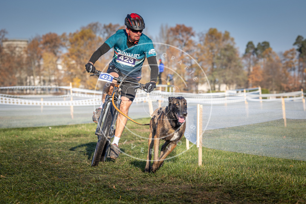 CaniXpix_0L8A4188 | Hundefotografie, Tierfotograf, Pfotenfotografie, Fotoshooting Hund, Hunde Portrait, Hundesport, Hundeportraits, Heideshooting, Hunde, Sportfotograf, Hundefotograf, Turnierhundsport, THS,  - Realisiert mit Pictrs.com