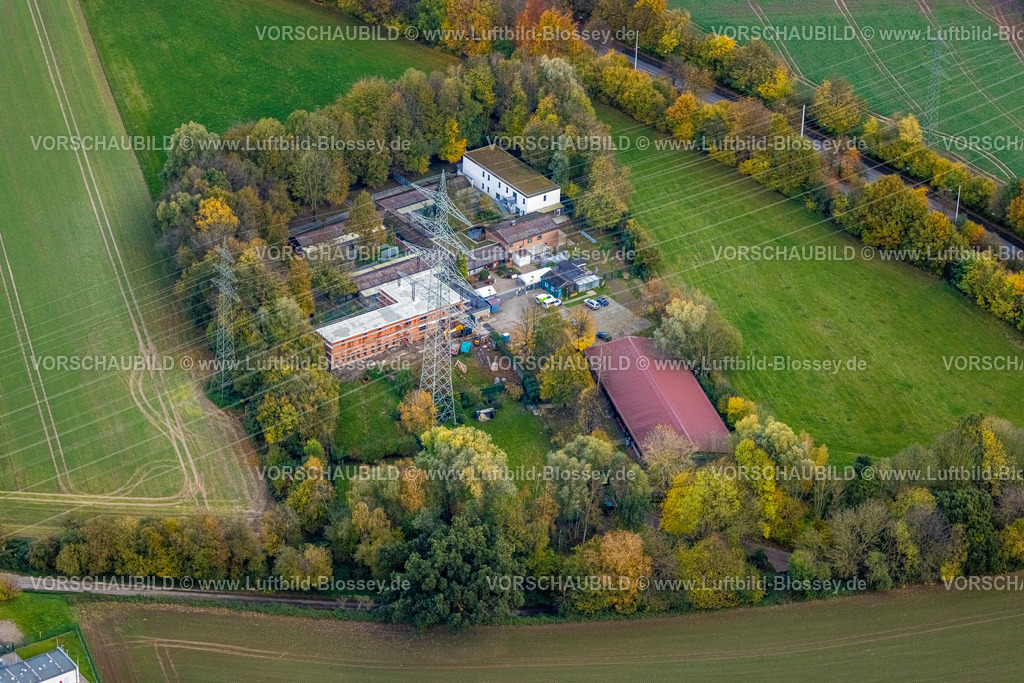 Bochum231102294 | Luftbild, Tierheim Bochum Tierschutzorganisation inmitten von herbstlichen Laubbäumen, geplantes Gelände für das Bundesligastadion Vonovia Ruhrstadion des Fußballvereins VfL Bochum 1848, Langendreer, Bochum, Ruhrgebiet, Nordrhein-Westfalen, Deutschland