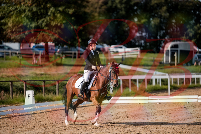 2026_10_03_Siefer-Hof_115506_Z63_30505306 | Professionelle Reitsport-, Turnier- und Eventfotografie von Robert Broda. Galerien mit ausgewählten und bearbeiteten Bildern direkt online ansehen und bestellen.
