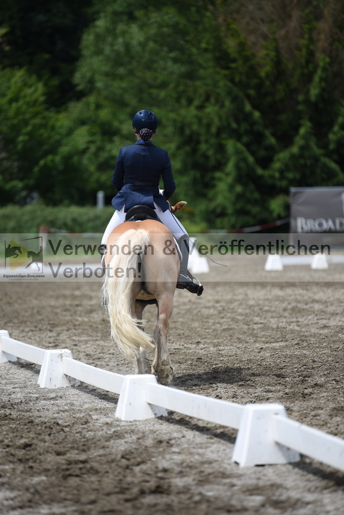 DSC_1240 | equestrian-live-com