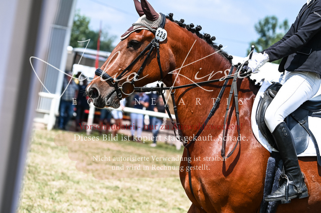 DSC_9568 | Pferde- und Turnierfotografie in Westsachsen. Pferdeportraits, Auftragszeichnungen und intuitive Kunst.