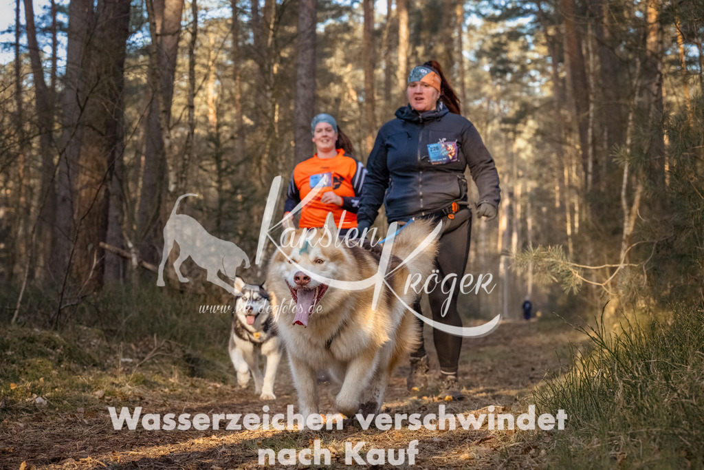 0815_ZZ90087-Bearbeitet | kk-dogfotos