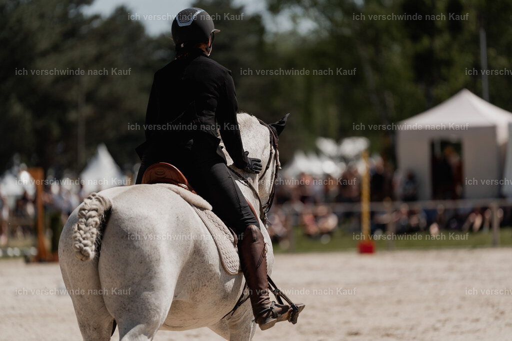 WE_SP_Stoib_312_PI2025_1657 | Pferd International München 2025