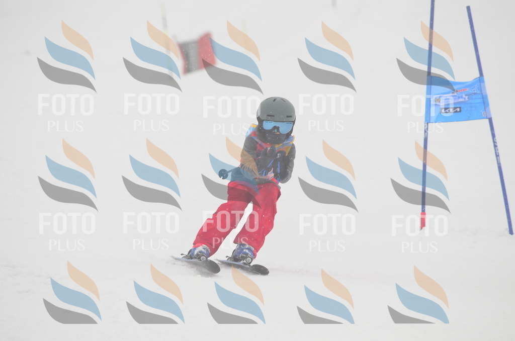 C0950 | holidayphoto