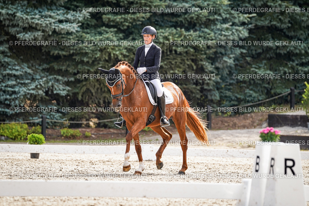 DSC07114 | Pferdegrafie