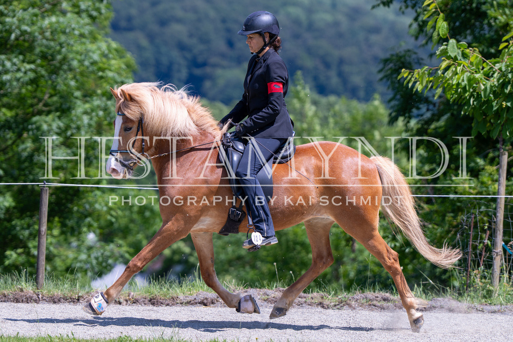 KAI03311 | Ihr sucht einen Fotografen für eure nächste OSI? Ich begleite auch euer Turnier für Islandpferde fotografisch.  - Realisiert mit Pictrs.com