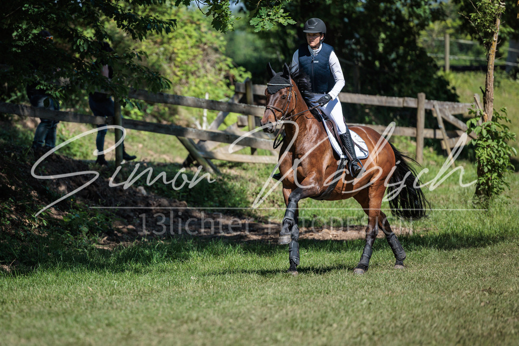 20260523-_3LI7364 | Tierfotografie Pferde, Hunde, Katzen, Haustiere.
Turnierfotografie Reitturniere, Reiten, Springreiten, Dressur in Hanau, dem Main-Kinzig-Kreis und dem Rhein-Main- Gebiet um Frankfurt