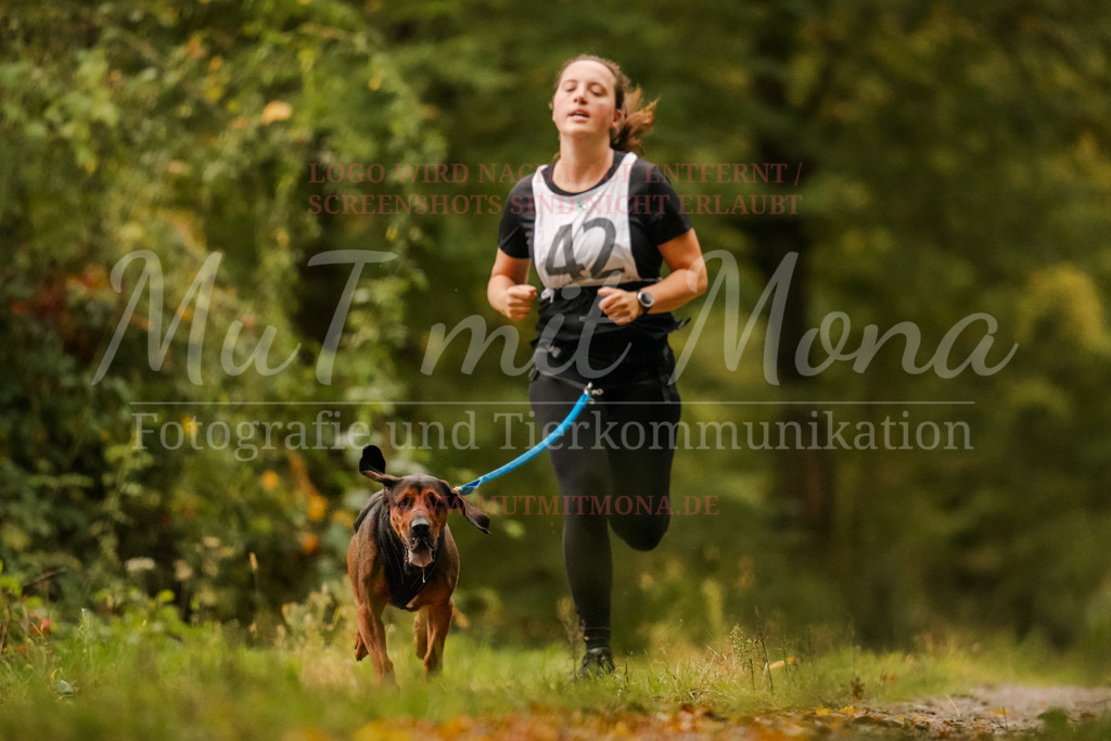 20251005_THS_Turnier-59 | MuT (Mensch und Tier) mit Mona - Fotografie und Tierkommunikation - Realisiert mit Pictrs.com