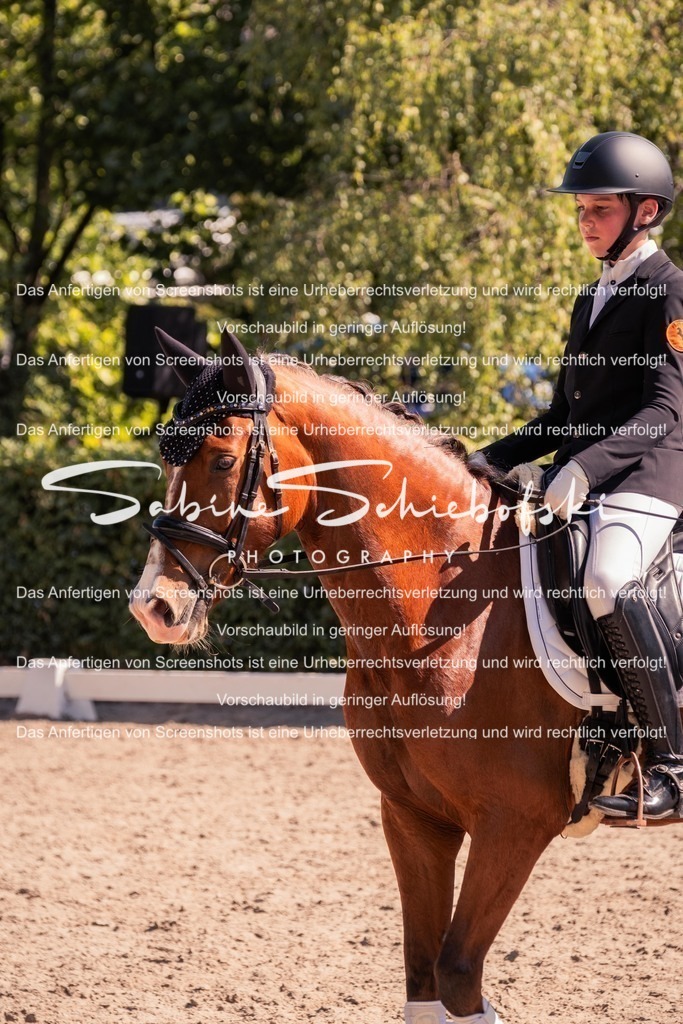 2025_05_31_DSCF3121 | People- und Tierfotografie, Imageaufnahmen, Veranstaltungsfotografie und Wandbilder aus der Natur ★ Made in Germany ✔️ Druck + Downloads ✔️ Naturfotografie in Top Qualität ★ schneller Versand, weltweite Lieferung! - Realisiert mit Pictrs.com