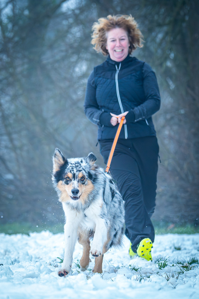 allesWIRTHgut Tierfotografie - 7IV07453-Verbessert-RR | Professionelle Tierfotografie in Mönchengladbach von Daniel Wirth (allesWIRTHgut). Liebevolle & natürliche Bilder von Hunden & Katzen für unvergessliche Erinnerungen.