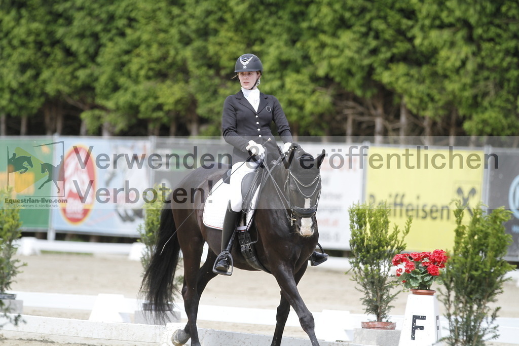 _MG_2618 | equestrian-live-com