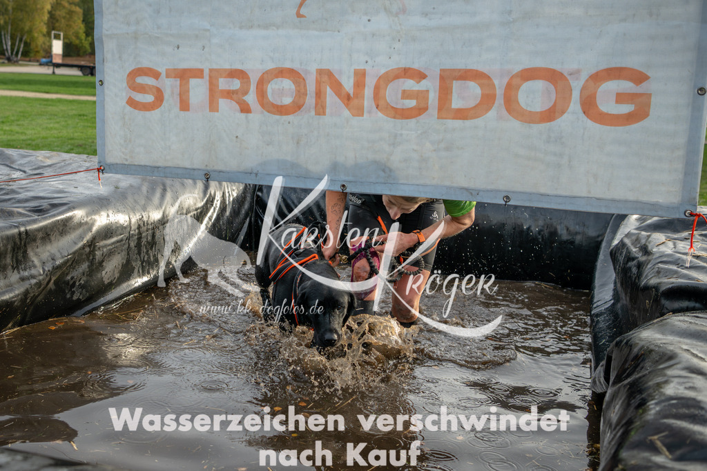 0955_ZZ97782 | kk-dogfotos
