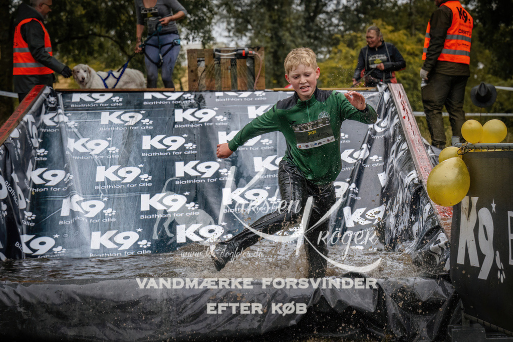 1204_ZZ94273 | kk-dogfotos